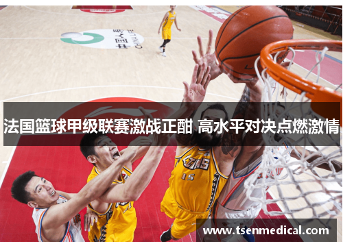 法国篮球甲级联赛激战正酣 高水平对决点燃激情